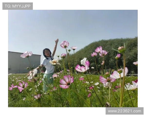 边珍直播首秀：高原上的格桑花绽放时刻